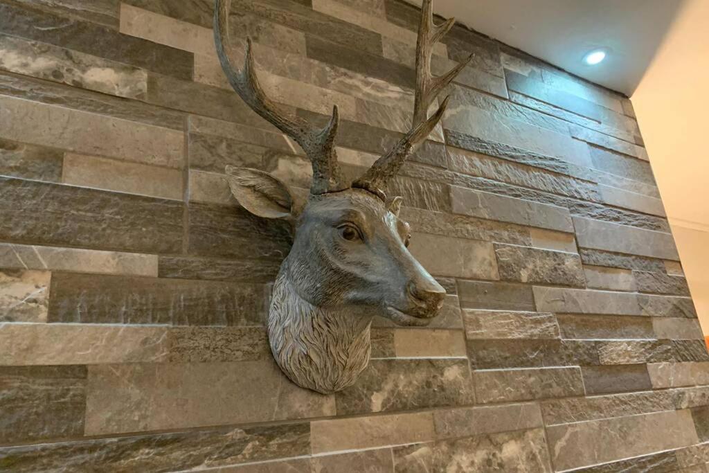 *Stunning & Spacious* 3 Bed House, 5Min From Oban Коннел Екстер'єр фото